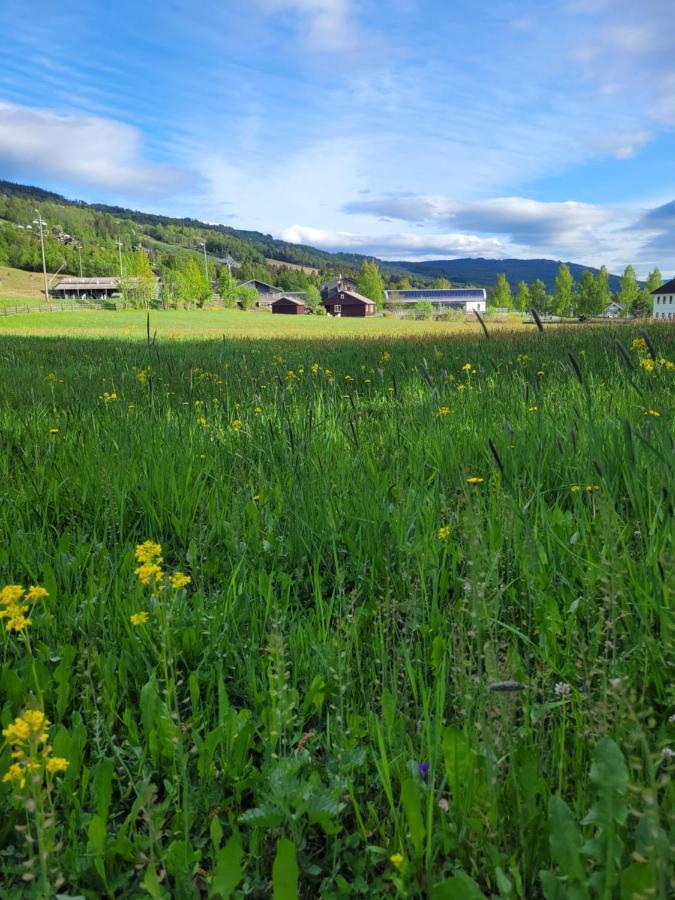 Friends & Family Apartment At Hafjell Alpinlandsby/Oyer Center Zewnętrze zdjęcie