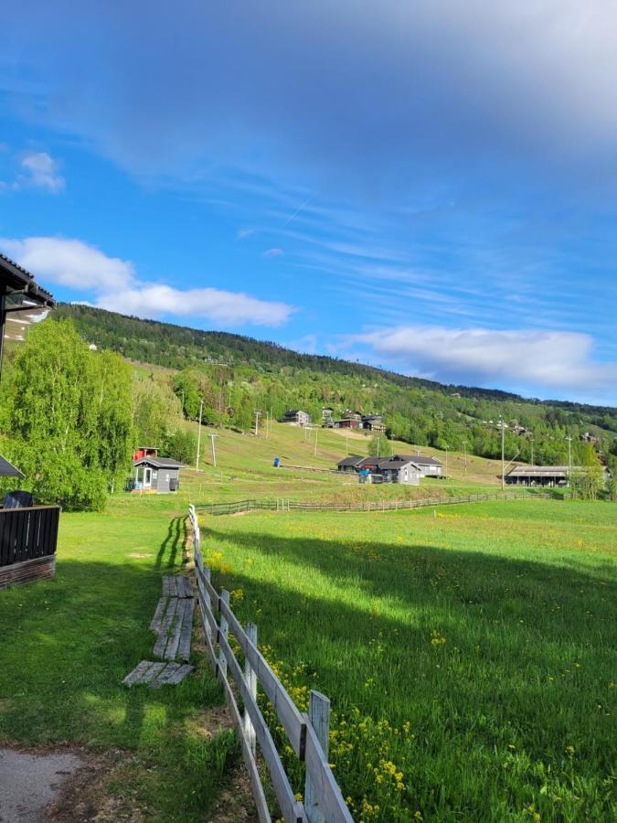 Friends & Family Apartment At Hafjell Alpinlandsby/Oyer Center Zewnętrze zdjęcie